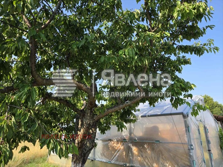 For Sale  Plot region Sofia , Dolna banya , 52411 sq.m | 89589275 - image [7]