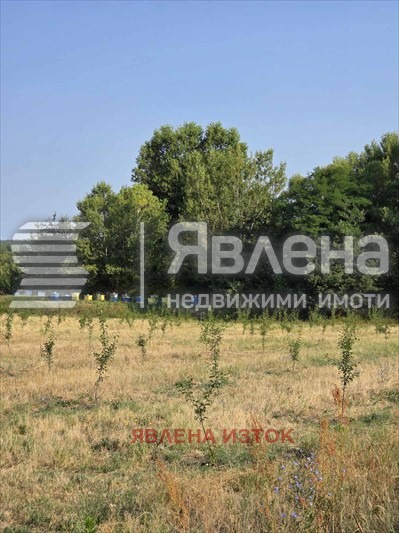 For Sale  Plot region Sofia , Dolna banya , 52411 sq.m | 89589275 - image [9]
