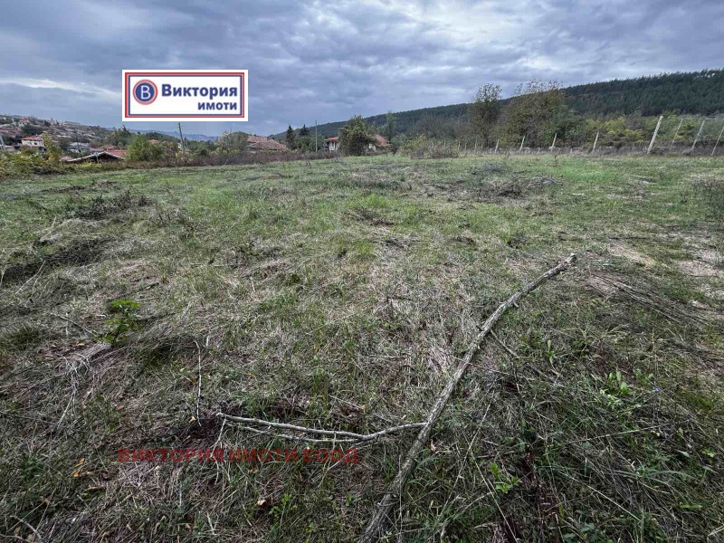 Продава ПАРЦЕЛ в област Велико Търново, с. Присово - 1130 кв.м / 65 000 € » 127 128.95 лв., ВИКТОРИЯ ИМОТИ ЕООД