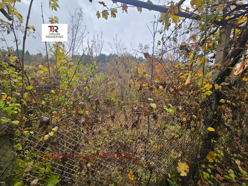 Продава КЪЩА, с. Кременик, област Кюстендил, снимка 11 - Къщи - 52356256