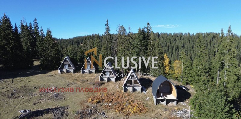 Продава ХОТЕЛ, к.к. Пампорово, област Смолян, снимка 6 - Хотели - 52273513