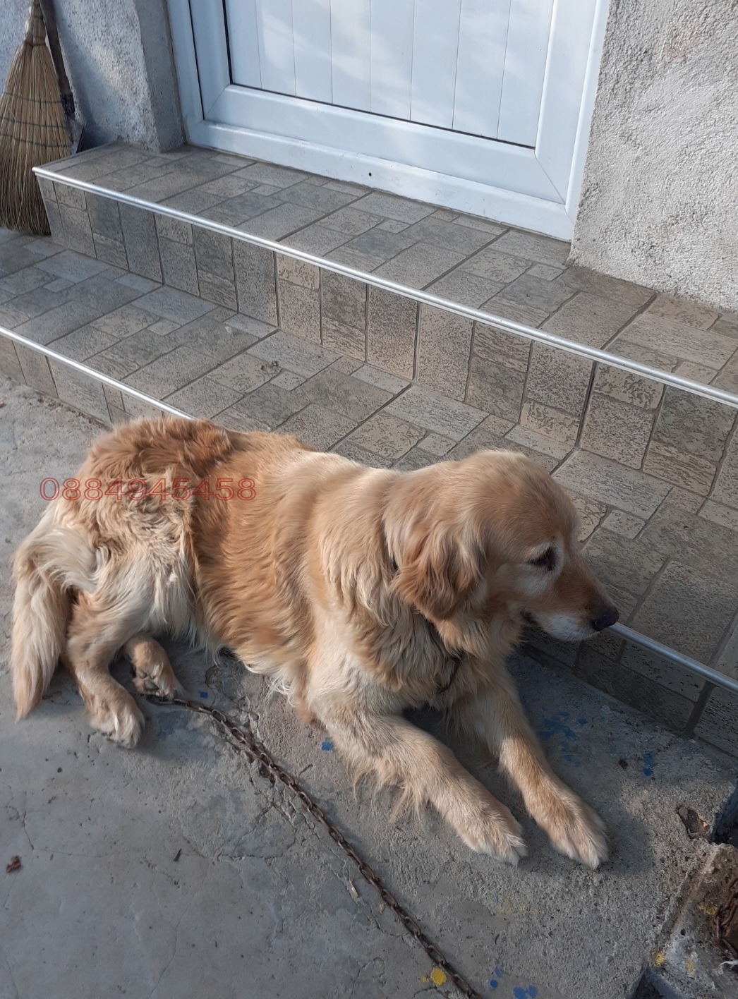 ������� ���� | Imot.bg � ����������� 2