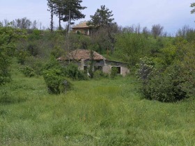 Будинок Бръшляница, область Плевен 3