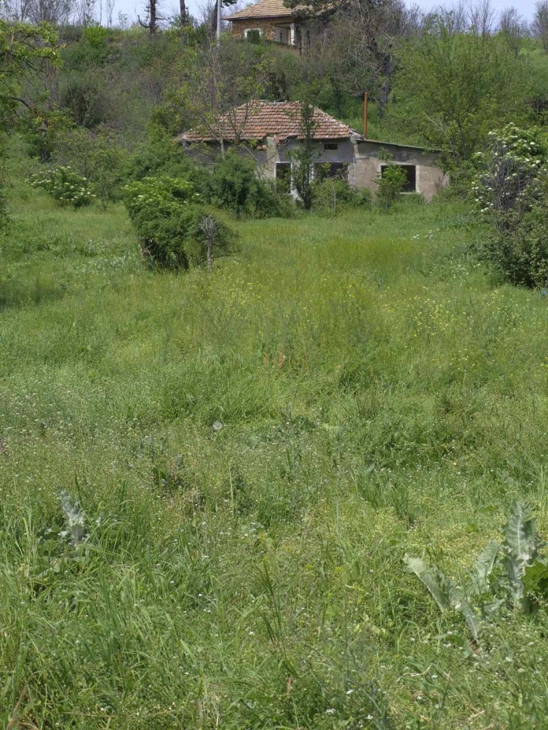 Προς πώληση  σπίτι περιοχή Πλέβεν , Βρατσλιανητσα , 40 τ.μ | 64130384 - εικόνα [2]