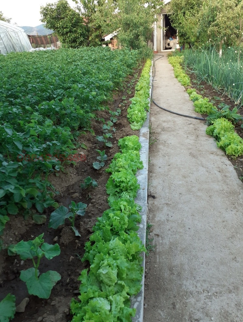 Продава КЪЩА, с. Чорбаджийско, област Кърджали, снимка 16 - Къщи - 53365525