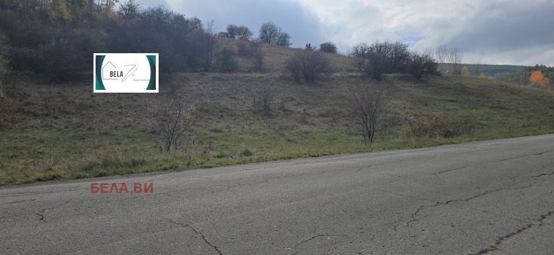 Продава ЗЕМЕДЕЛСКА ЗЕМЯ, с. Копаница, област Перник, снимка 2 - Земеделска земя - 52367241