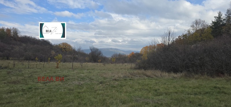 Продава ЗЕМЕДЕЛСКА ЗЕМЯ, с. Копаница, област Перник, снимка 2 - Земеделска земя - 52986650