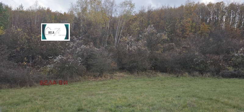 Продава ЗЕМЕДЕЛСКА ЗЕМЯ, с. Копаница, област Перник