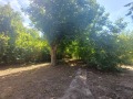 Продава КЪЩА, с. Староселци, област Плевен, снимка 16