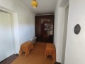 Продава КЪЩА, гр. Карлово, област Пловдив, снимка 2