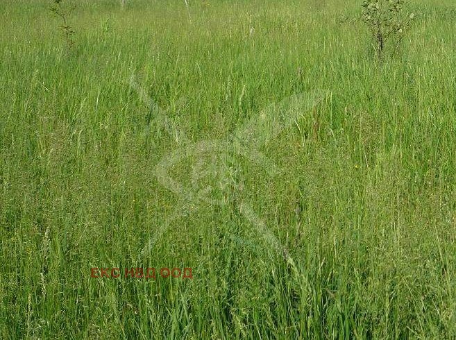 Продава ПАРЦЕЛ | Imot.bg — изображение 1