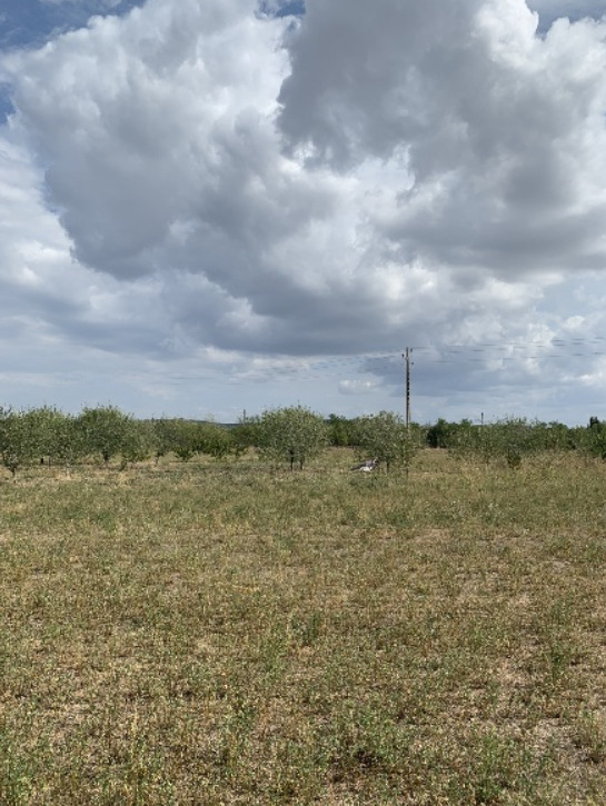 Te koop  Verhaallijn regio Plovdiv , Tsjernitsjevo , 5220 m² | 96758629