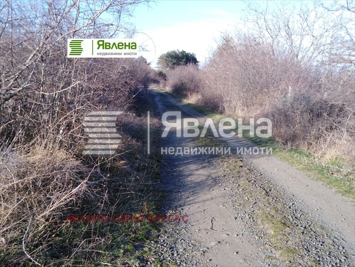 Til salg  Grund region Burgas , Tsarevo , 926 kvm | 77113406 - billede [4]