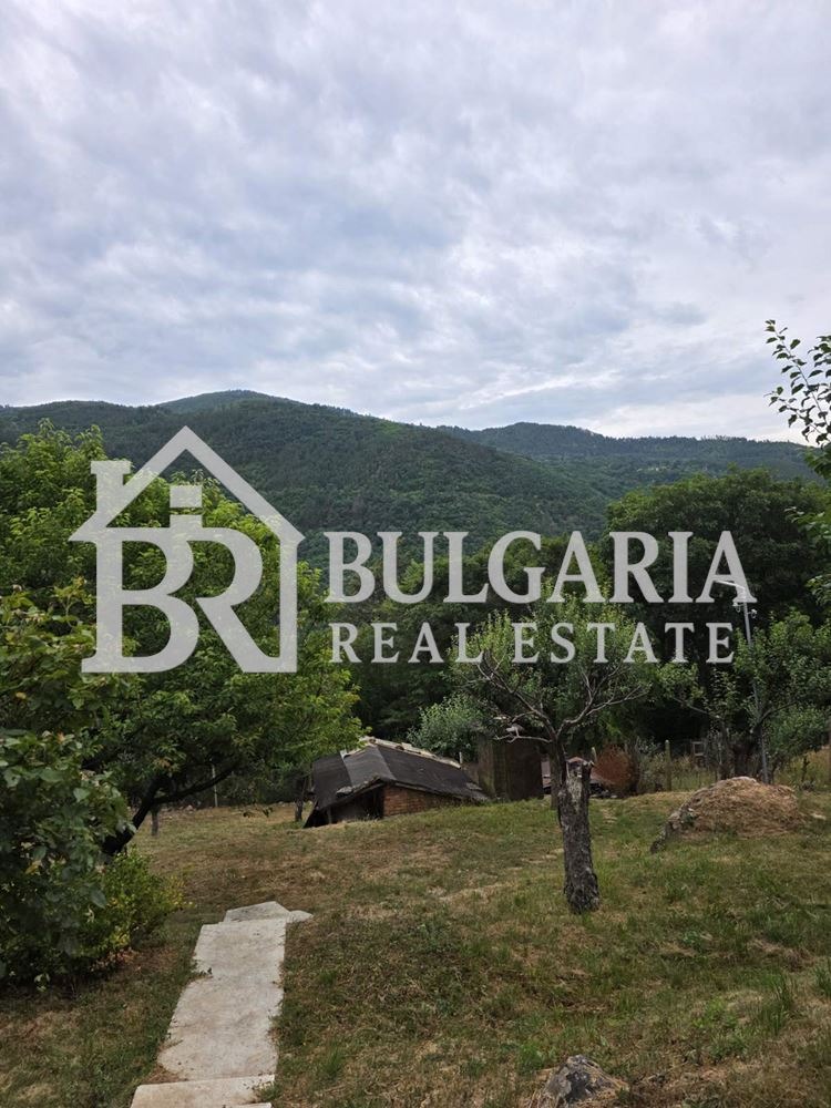 ������� ���� | Imot.bg � ����������� 11