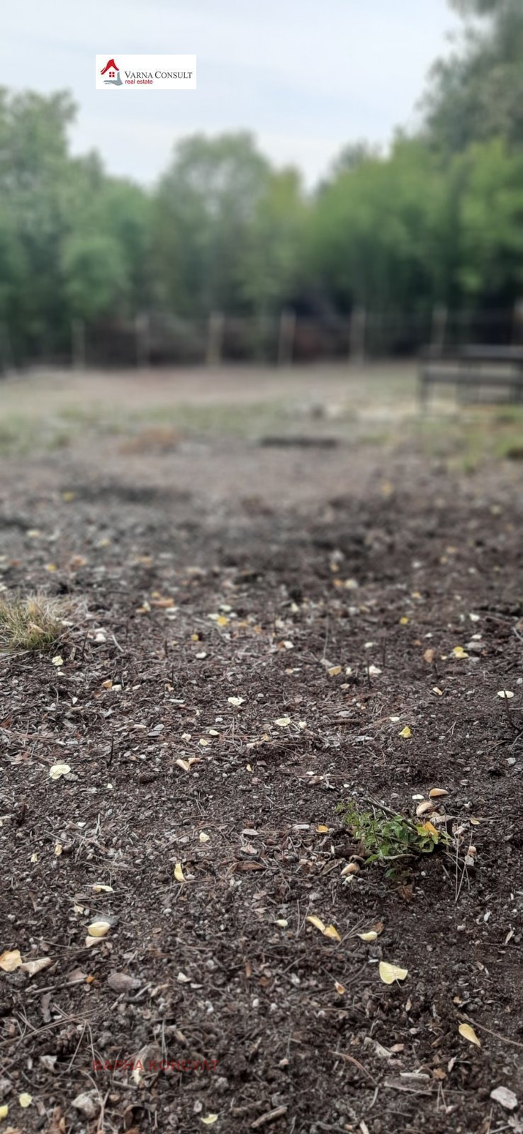 Продава ПАРЦЕЛ | Imot.bg — изображение 4