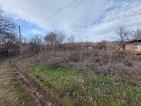 Grund Dobri dyal, region Veliko Tarnovo 1