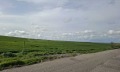 Продава  Парцел област Варна , с. Езерово , 10970 кв.м | 60095227 - изображение [3]