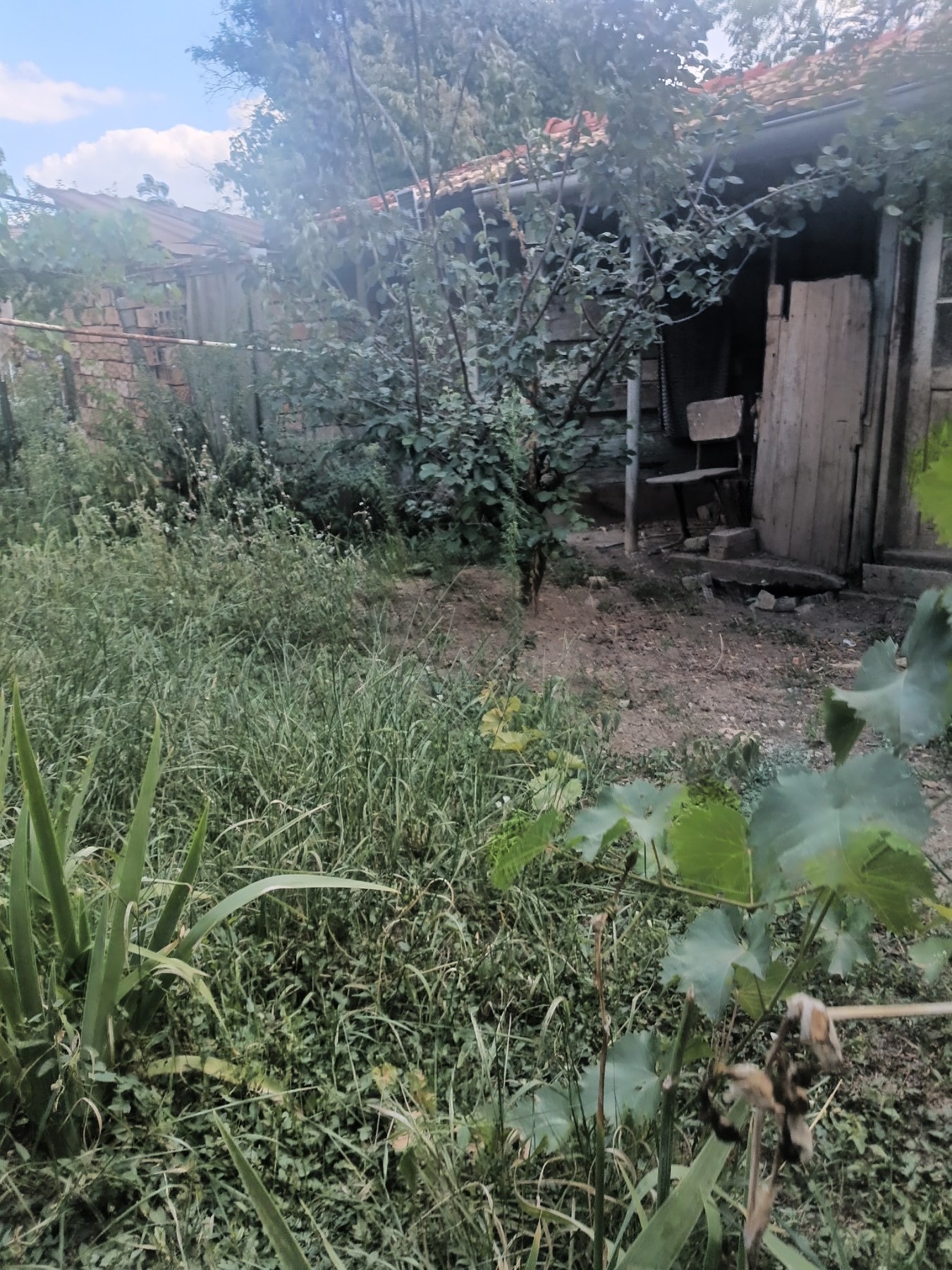 ������� ���� | Imot.bg � ����������� 8