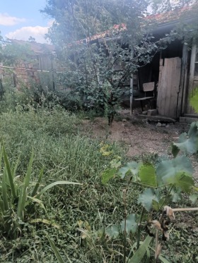 ������� ���� | Imot.bg � ����� ������ 8