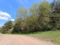 Продава ПАРЦЕЛ, град София, с. Долни Пасарел • 83000 € • 82490654 — Holmes.bg