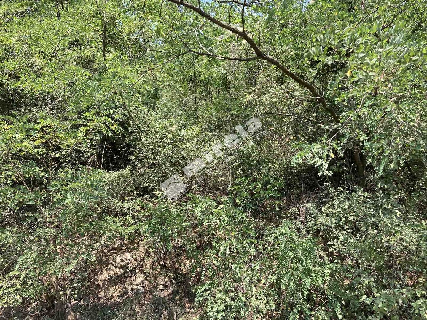 Продава ПАРЦЕЛ | Imot.bg — изображение 7