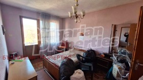 Hus Velingrad, region Pazardzhik 2