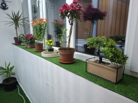 ������� 3-����� | Imot.bg � ����� ������ 14