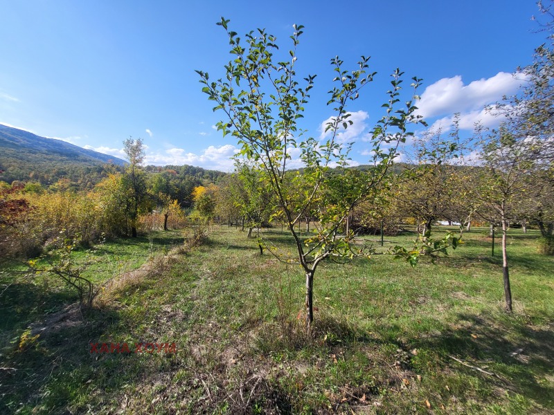 Продава ПАРЦЕЛ, с. Боазът, област Габрово, снимка 10 - Парцели - 52170620