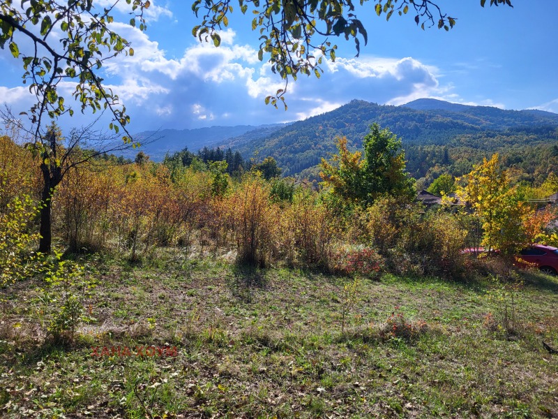 Продава ПАРЦЕЛ, с. Боазът, област Габрово, снимка 5 - Парцели - 52170620