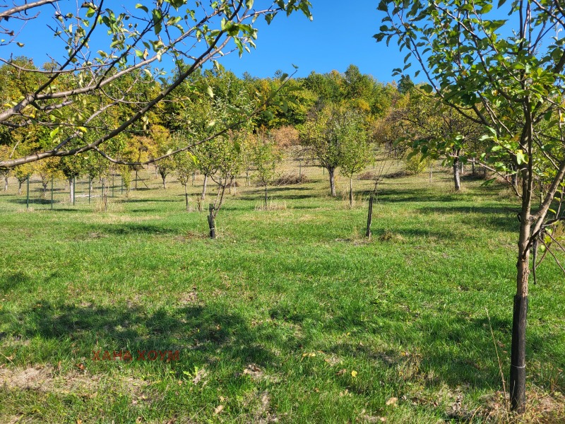 Продава ПАРЦЕЛ, с. Боазът, област Габрово, снимка 12 - Парцели - 52170620