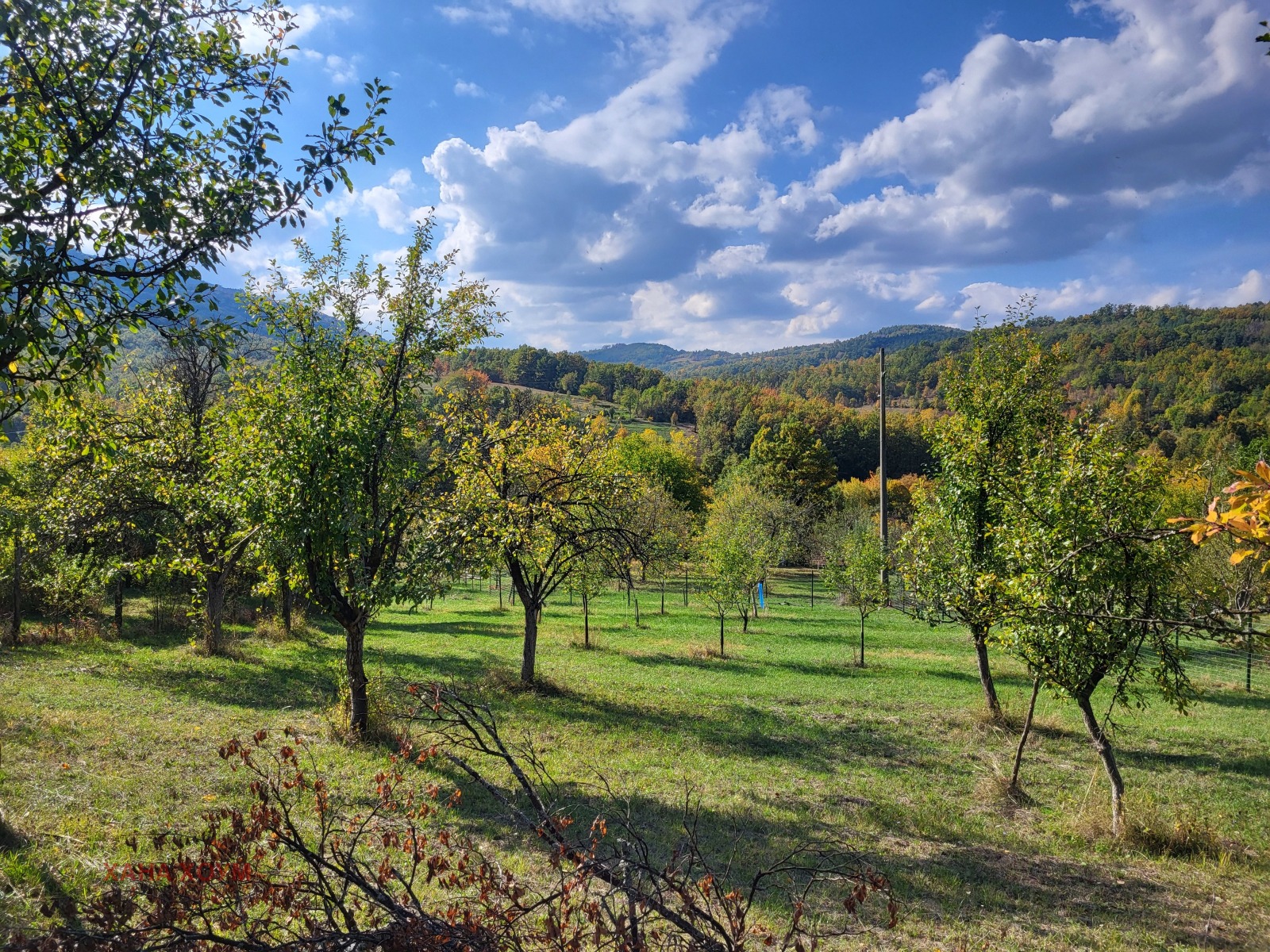 Продава ПАРЦЕЛ, с. Боазът, област Габрово, снимка 2 - Парцели - 52170620