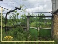 Продава КЪЩА, гр. Павел баня, област Стара Загора, снимка 6
