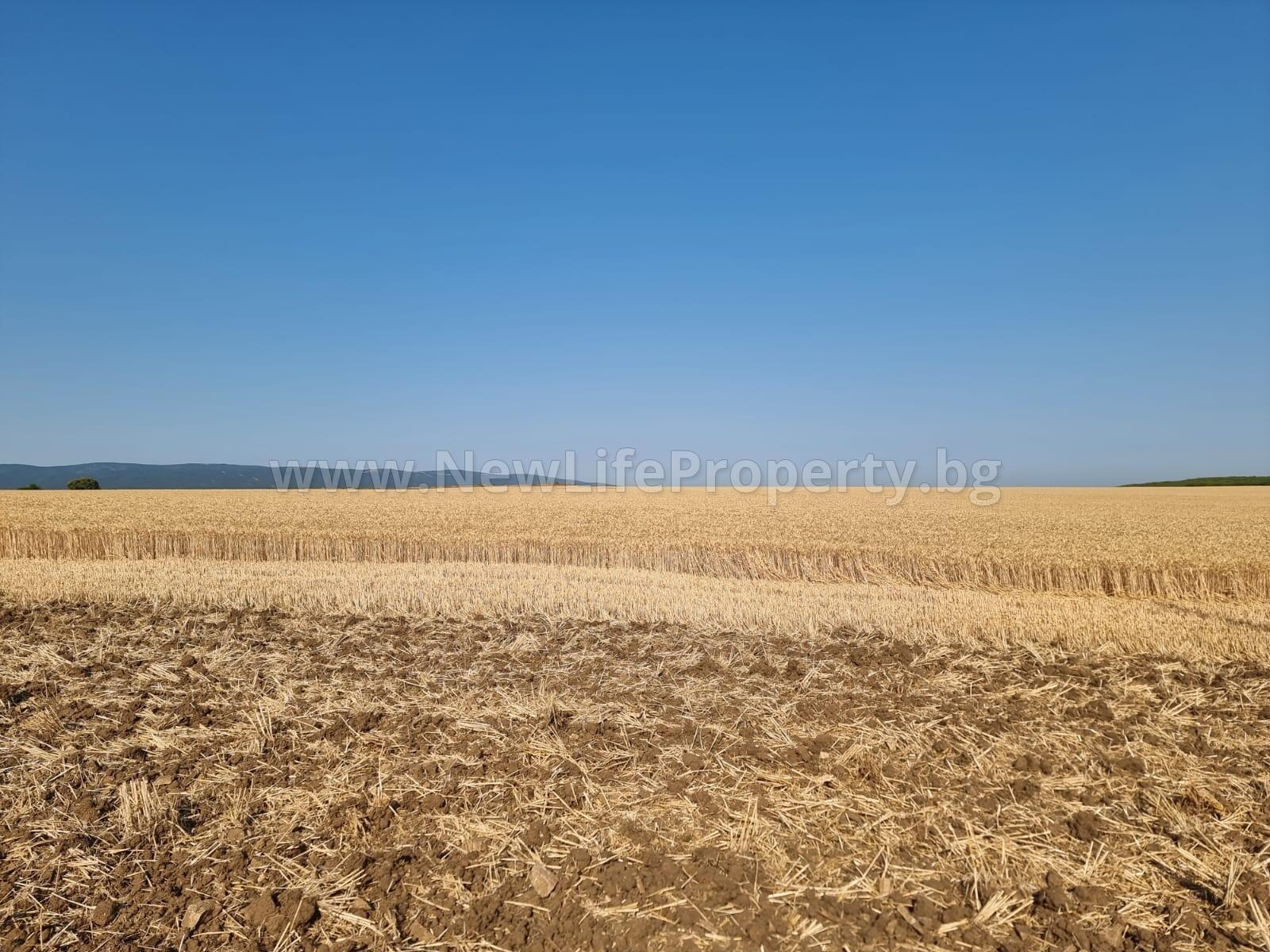 Продава ЗЕМЕДЕЛСКА ЗЕМЯ | Imot.bg — изображение 2