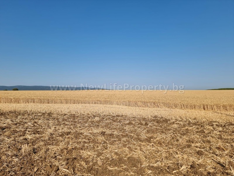 Продава  Земеделска земя област Бургас , с. Тънково , 7 дка | 41213324 - изображение [2]