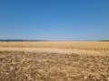 Продава ЗЕМЕДЕЛСКА ЗЕМЯ, с. Тънково, област Бургас, снимка 2