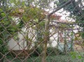 Продава КЪЩА, област Бургас, с. Терзийско • 23000 € • 44392374 — Holmes.bg