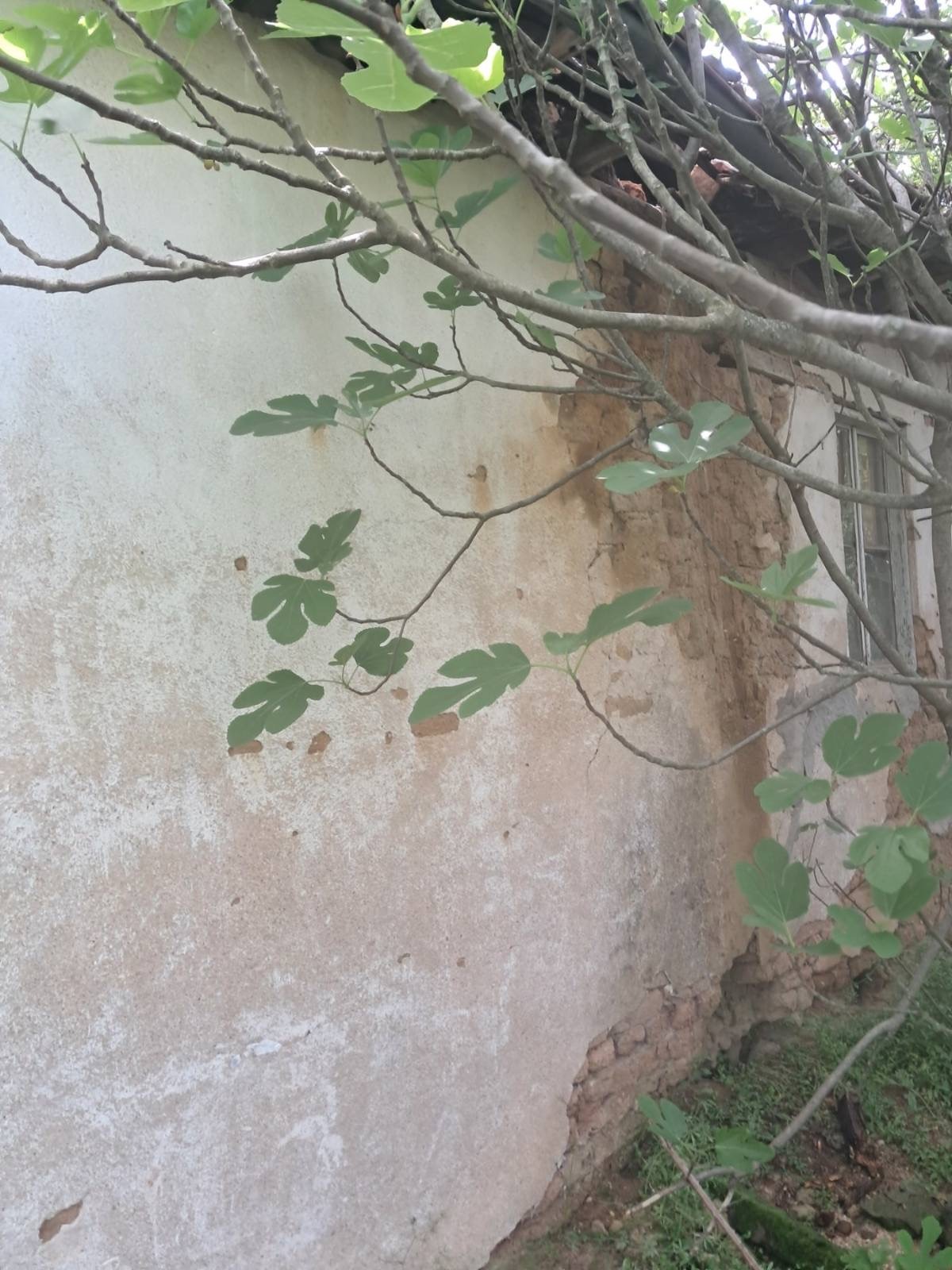 ������� ���� | Imot.bg � ����������� 8