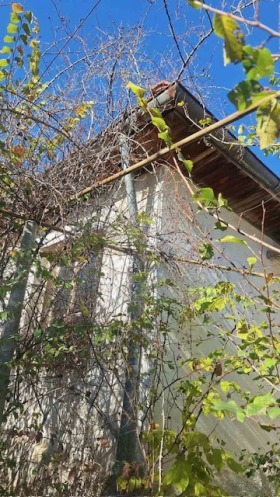 ������� ���� | Imot.bg � ����� ������ 5