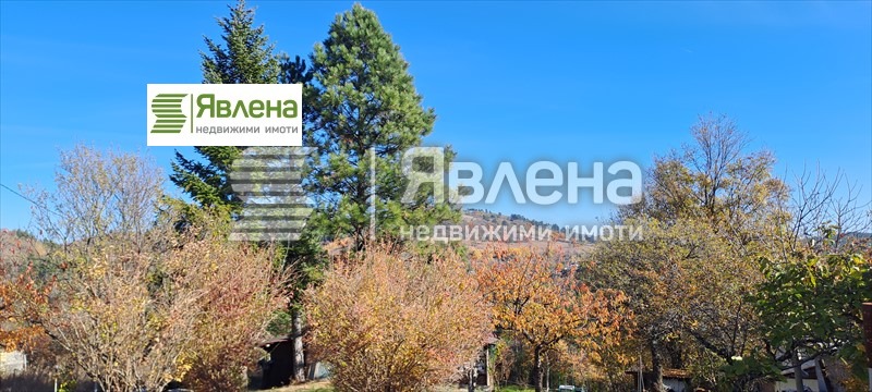 Na prodej  Spiknutí oblast Sofia , Mala Rakovica , 600 m2 | 67832659