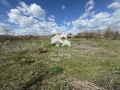 Продава ПАРЦЕЛ, област Пловдив, с. Маноле • 65000 € • 25151423 — Holmes.bg