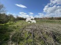 Продава ПАРЦЕЛ, област Пловдив, с. Маноле • 65000 € • 25151423 — Holmes.bg