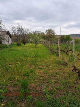 ������� ���� | Imot.bg � ����� ������ 9
