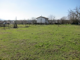 ����� ������� ������,�. ������ ������, ������ �����