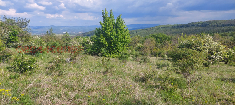 Продава ПАРЦЕЛ, с. Лисец, област Ловеч, снимка 6 - Парцели - 52786335