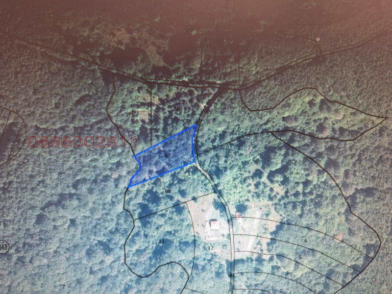 Продава ЗЕМЕДЕЛСКА ЗЕМЯ, с. Чифлик, област Ловеч, снимка 3 - Земеделска земя - 52780253