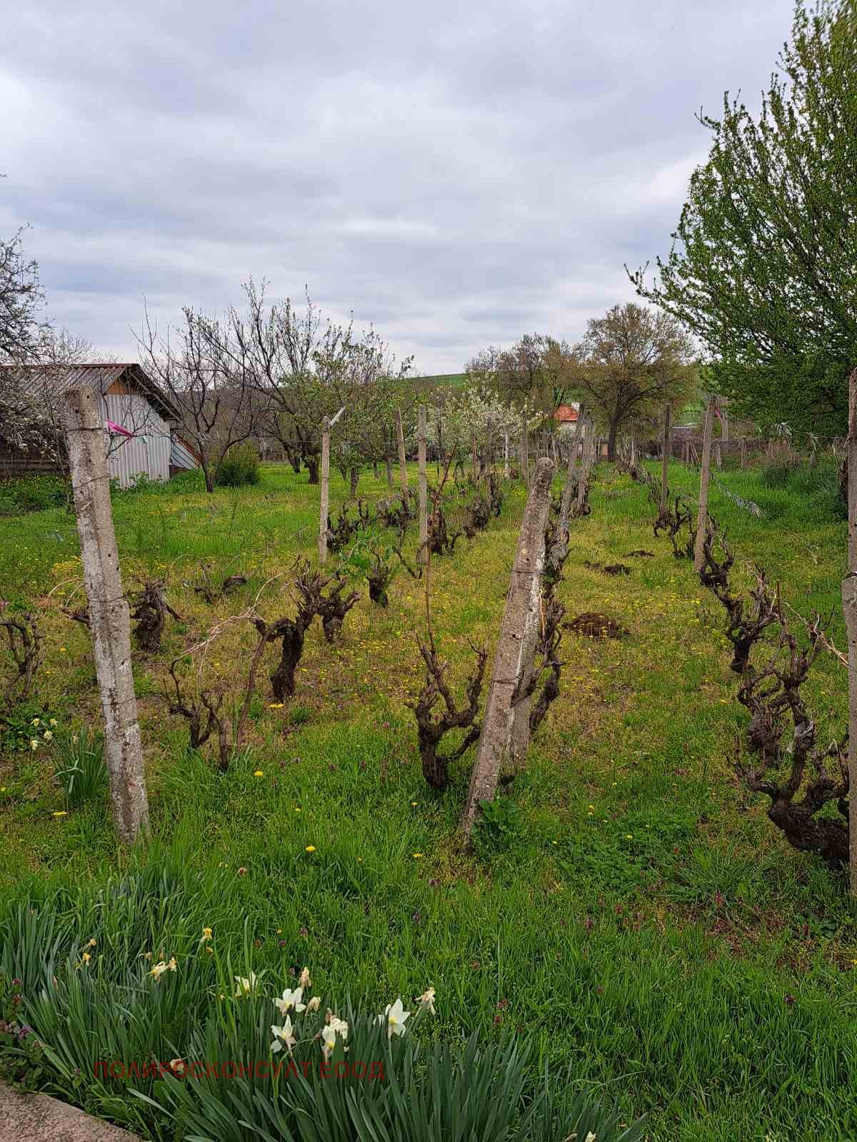 Продава КЪЩА, с. Жеглица, област Видин, снимка 7 - Къщи - 54263448