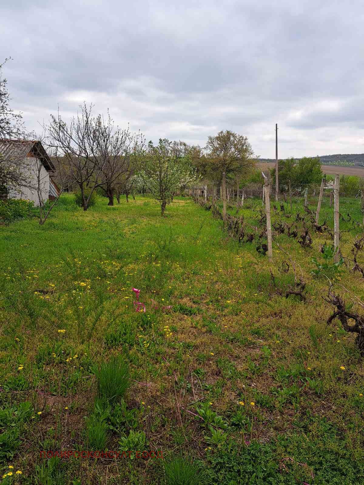 Продава КЪЩА, с. Жеглица, област Видин, снимка 8 - Къщи - 54263448