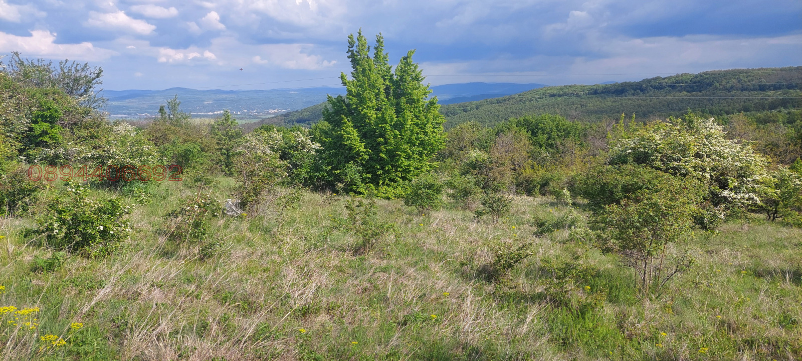 Продава ПАРЦЕЛ, с. Лисец, област Ловеч, снимка 6 - Парцели - 53683519