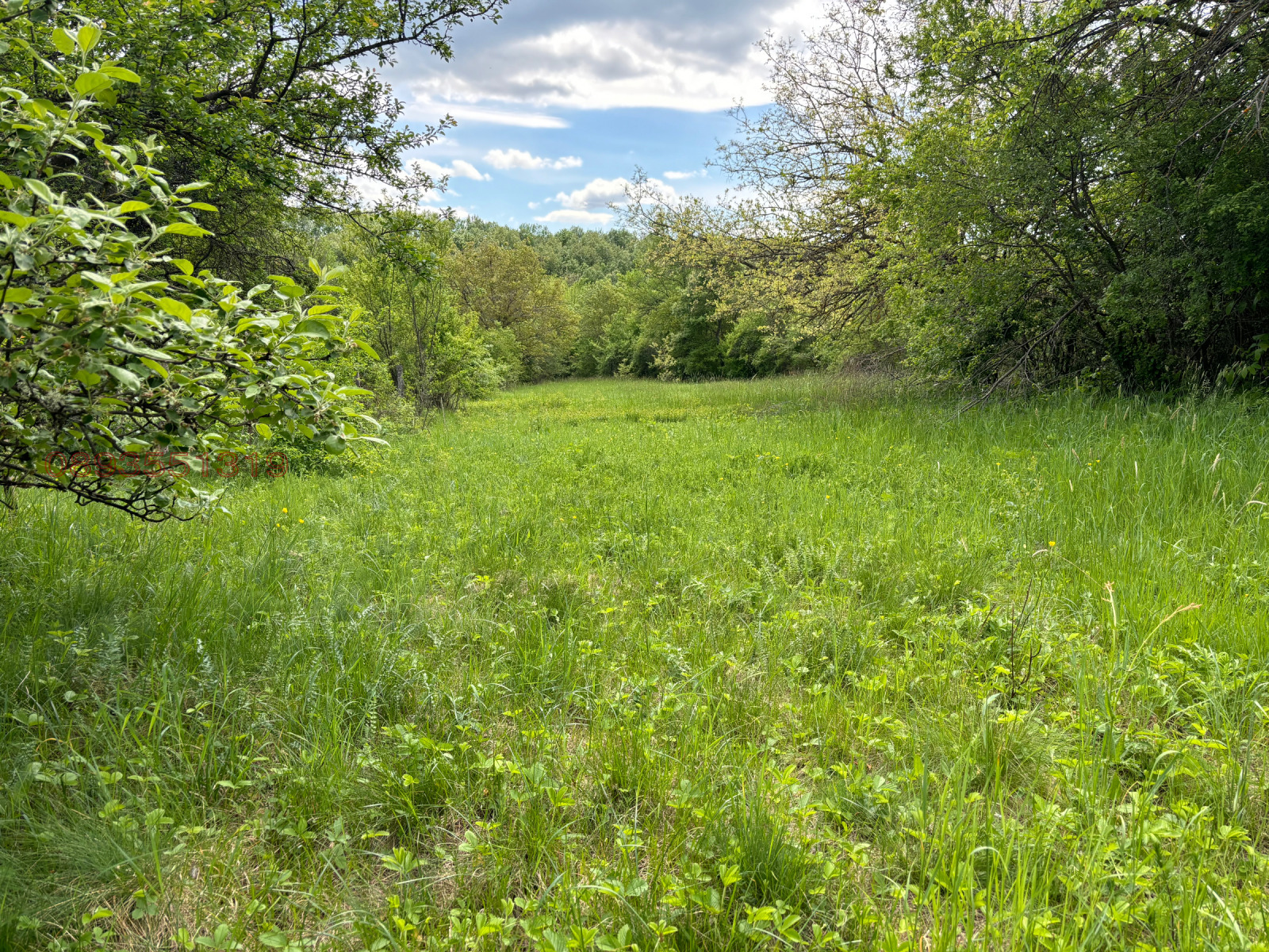 Продава ПАРЦЕЛ, с. Балванците, област Габрово, снимка 4 - Парцели - 54090465