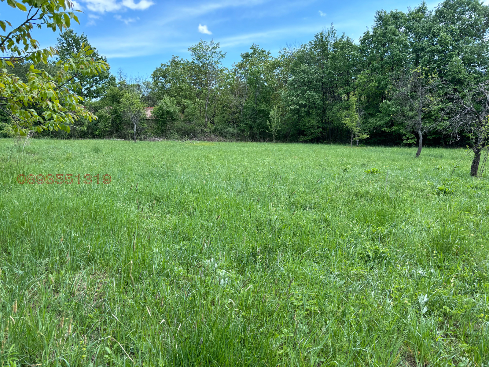 Продава ПАРЦЕЛ, с. Балванците, област Габрово, снимка 5 - Парцели - 54090465